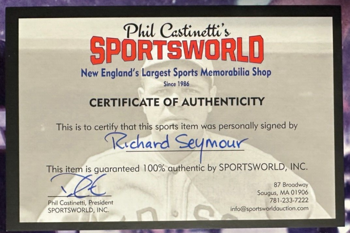Richard Seymour Autographed 16x20 Photo New England Patriots Snow Bowl