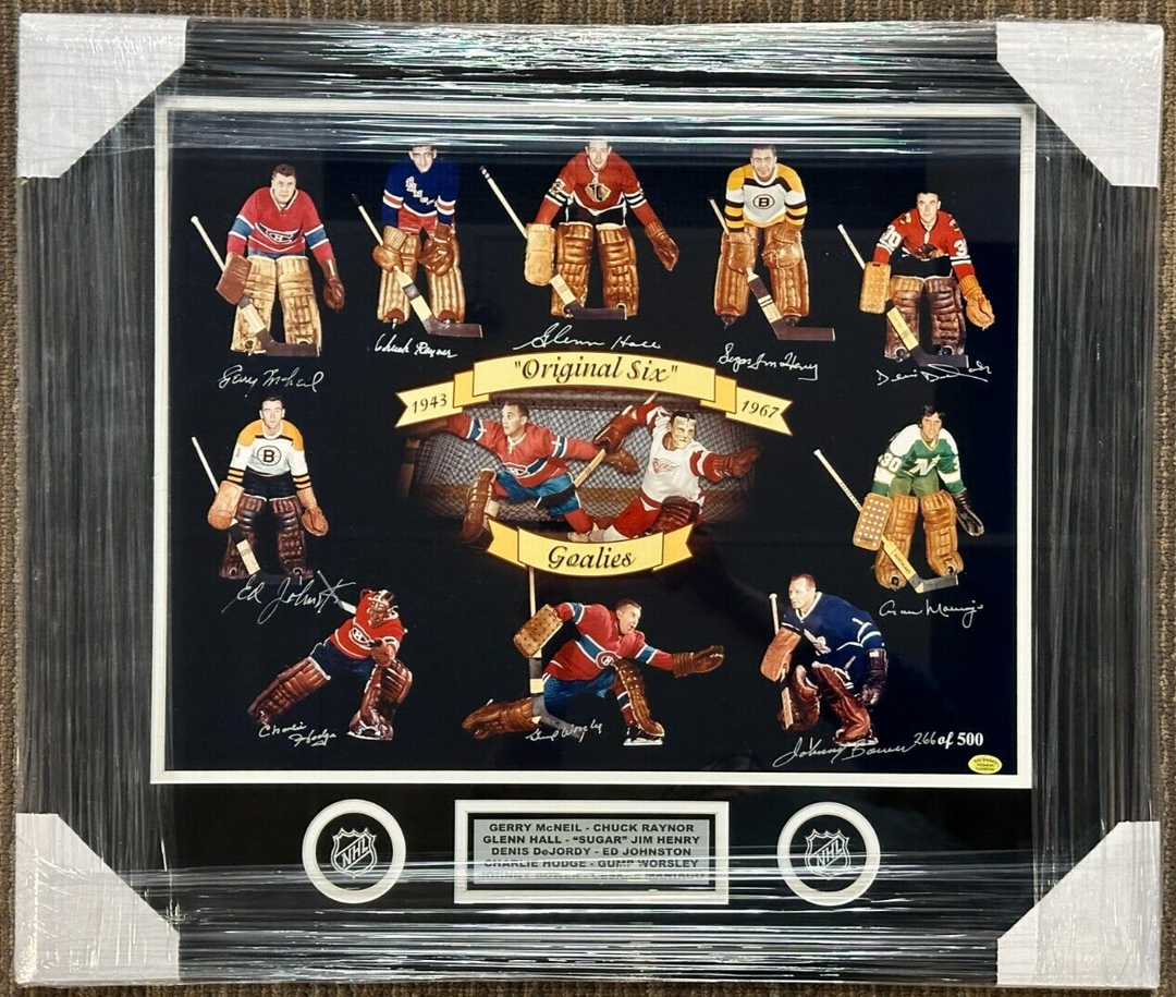 Bower Henry Hodge Worsley Hall McNeil DeJordy Signed Original Six Goalies Photo