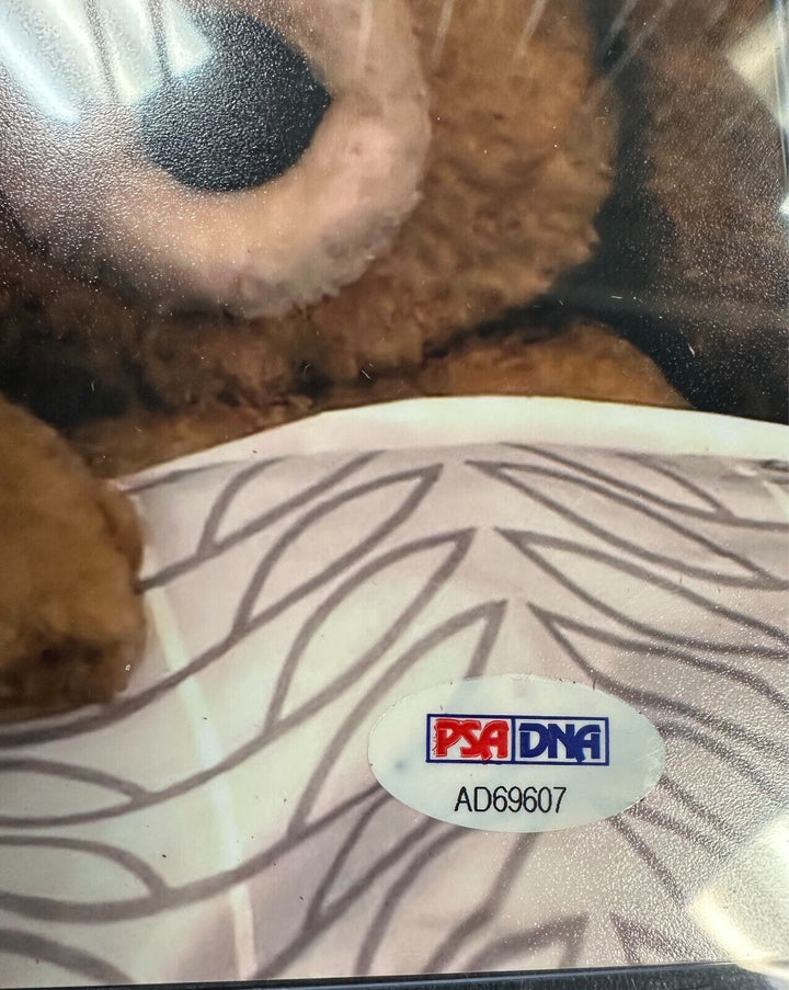 Mark Wahlberg Autographed 11x14 Photo "Ted" PSA/DNA