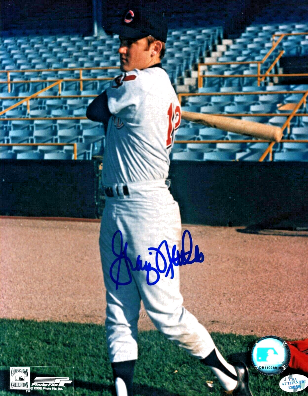 Graig Nettles Autographed New York Yankees 8x10 Photo