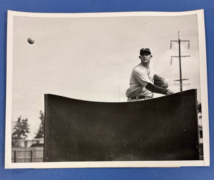 1952 Howie Fox Original 6x9 Newspaper Wire Photo Philadelphia Phillies