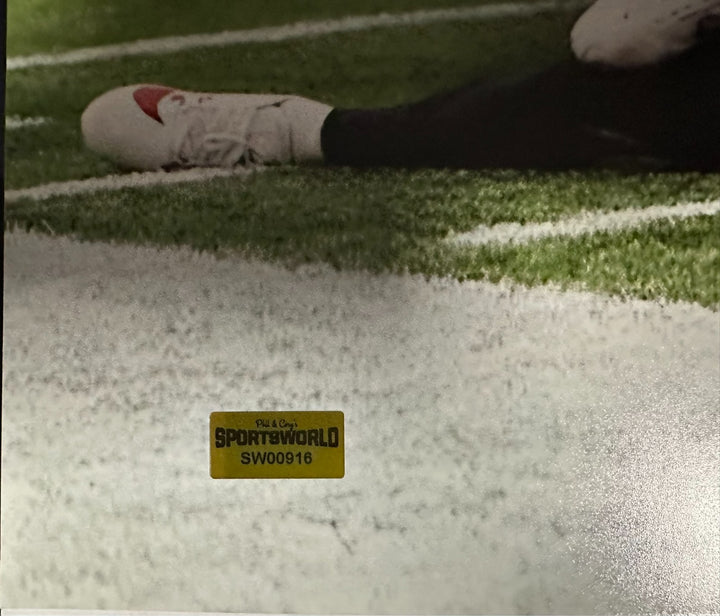 DeMario "Pop" Douglas Autographed 16x20 Photo New England Patriots