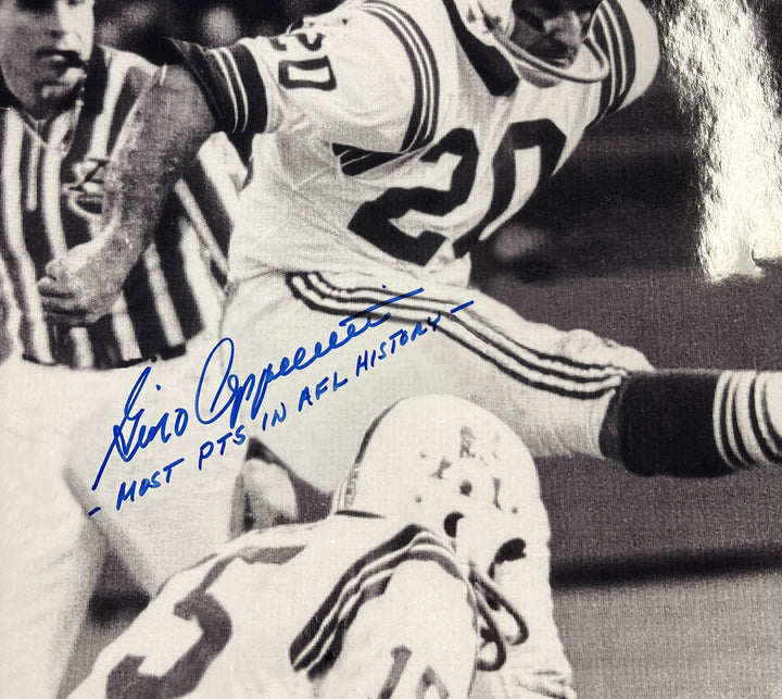Gino Cappelletti New England Patriots 16x20 Signed Picture