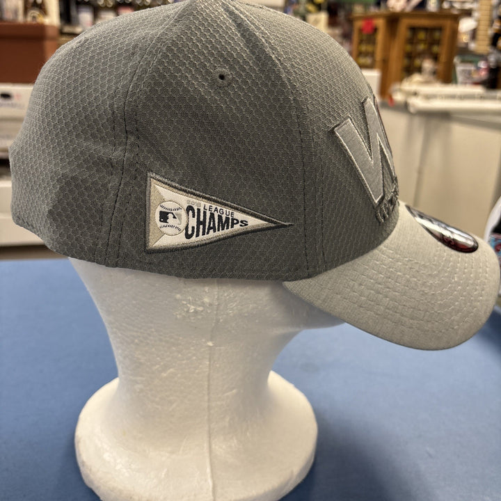 2018 Boston Red Sox World Series Official New Baseball Hat.