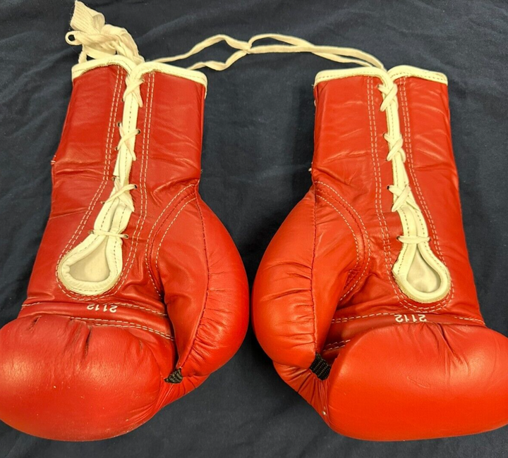 Norton Basillio Antuofermo Arquello Jofre Gavilan Griffith Signed Boxing Gloves