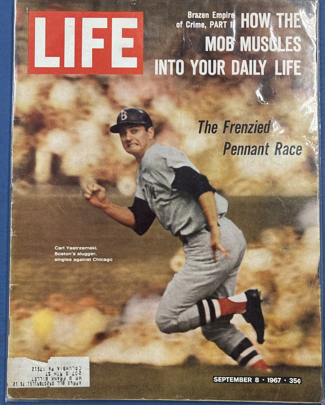 Life Magazine Vintage Carl Yastrzemski Boston Slugger Pennant September 8 1967