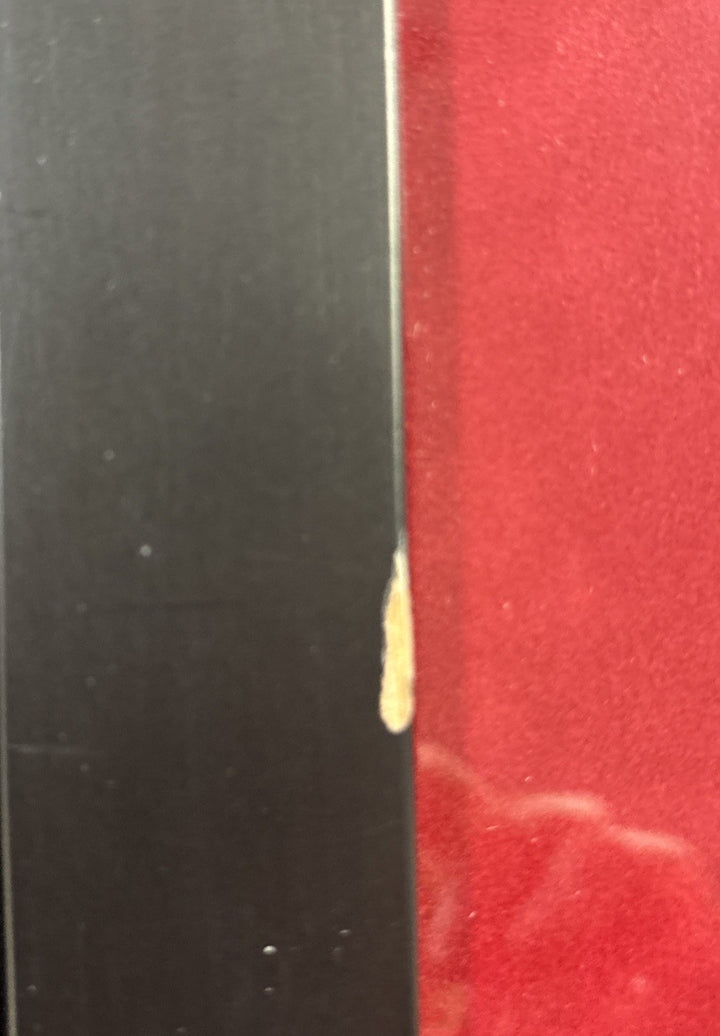 Terry Francona Boston Red Sox Manager  Autographed Framed Picture 16x14 COA