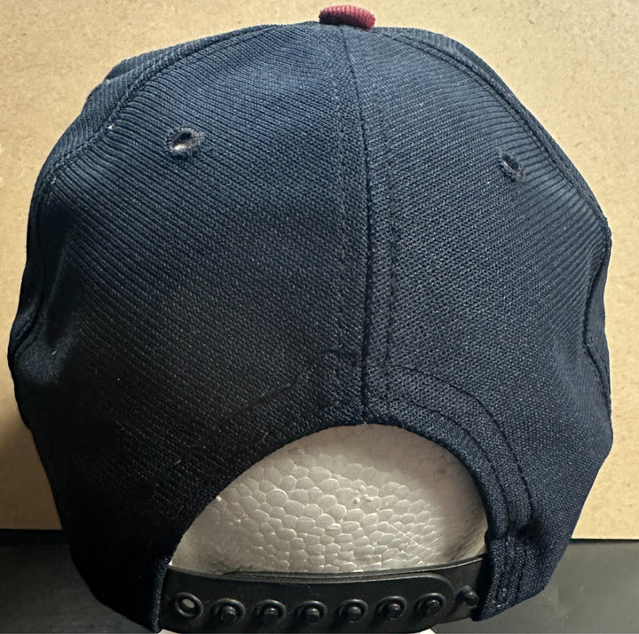 Vintage 1990's New Era Scranton Wilkes-Barre Red Barrons Pro Model Snapback Hat