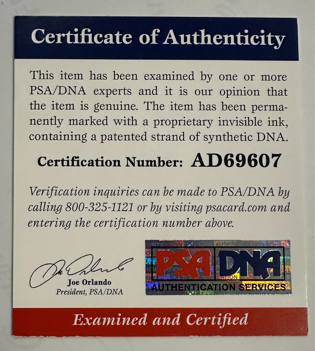 Mark Wahlberg Autographed 11x14 Photo "Ted" PSA/DNA