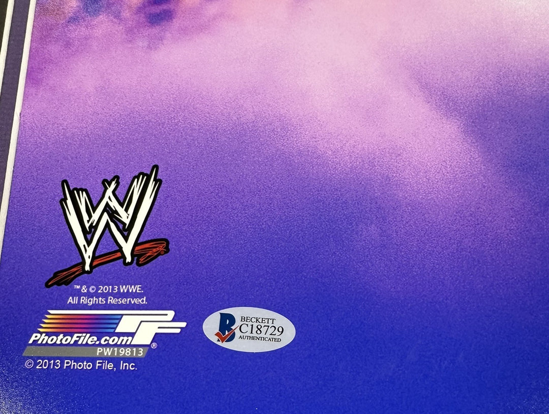 The Undertaker Autographed WrestleMania 29 Entrance 16x20 W/ Inscription BAS