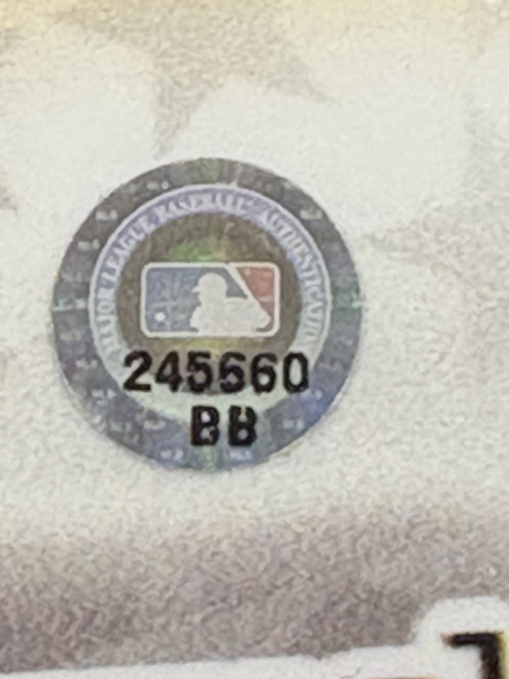 David Ortiz MLB Authenticated 2006 All Star Game Locker Tag 1/1 Boston Red Sox