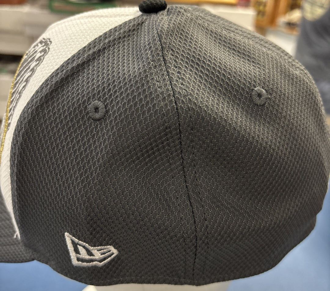 2013 World Series Champions Boston Red Sox Hat NWT