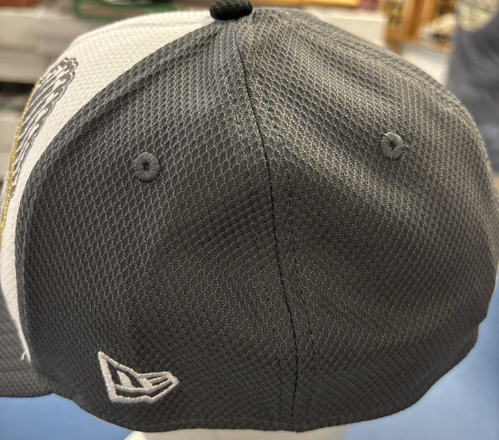 2013 World Series Champions Boston Red Sox Hat NWT