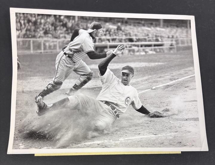 1950 Original 7x9 Newspaper Wire Photo Layne Terwilliger Jim Hegan Cubs Indians