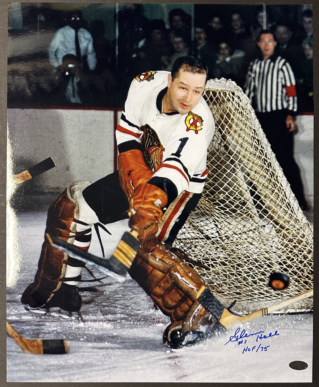 Glenn Hall Autographed 16x20 Photo Chicago Black Hawks Photo W/ HOF 75
