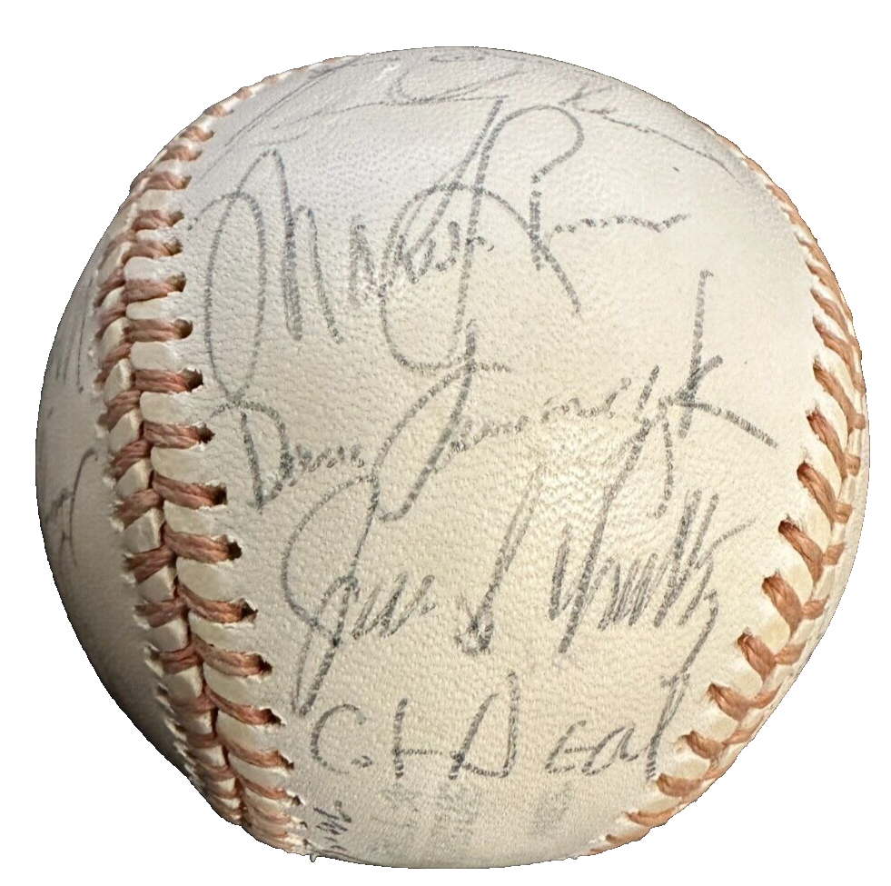 1974 Detroit Tigers Team Autographed Baseball Kaline Brown Lolich