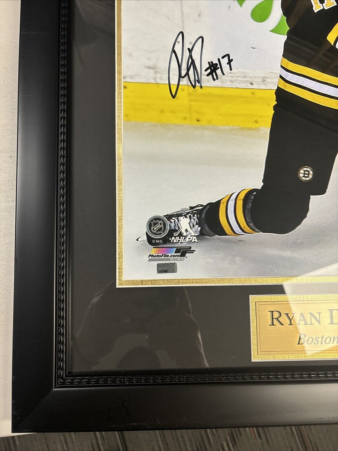 Ryan Donato Signed Framed 16x20 New England Picture Boston Bruins