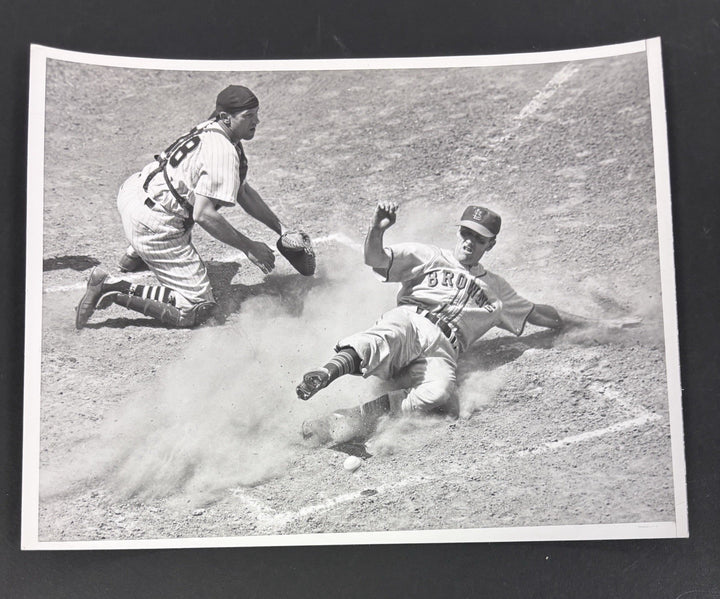 1951 Bobby Young Phil Masi Original 7x9 Vintage Photo Brown White Sox