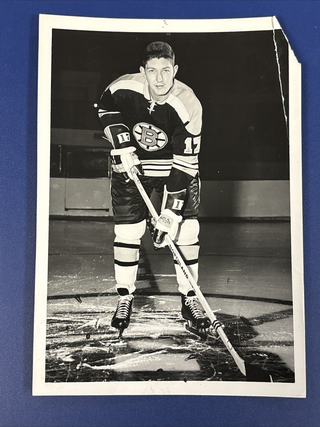 1960’s Fred Stanfield Original Boston Bruins Team Photo 5x7