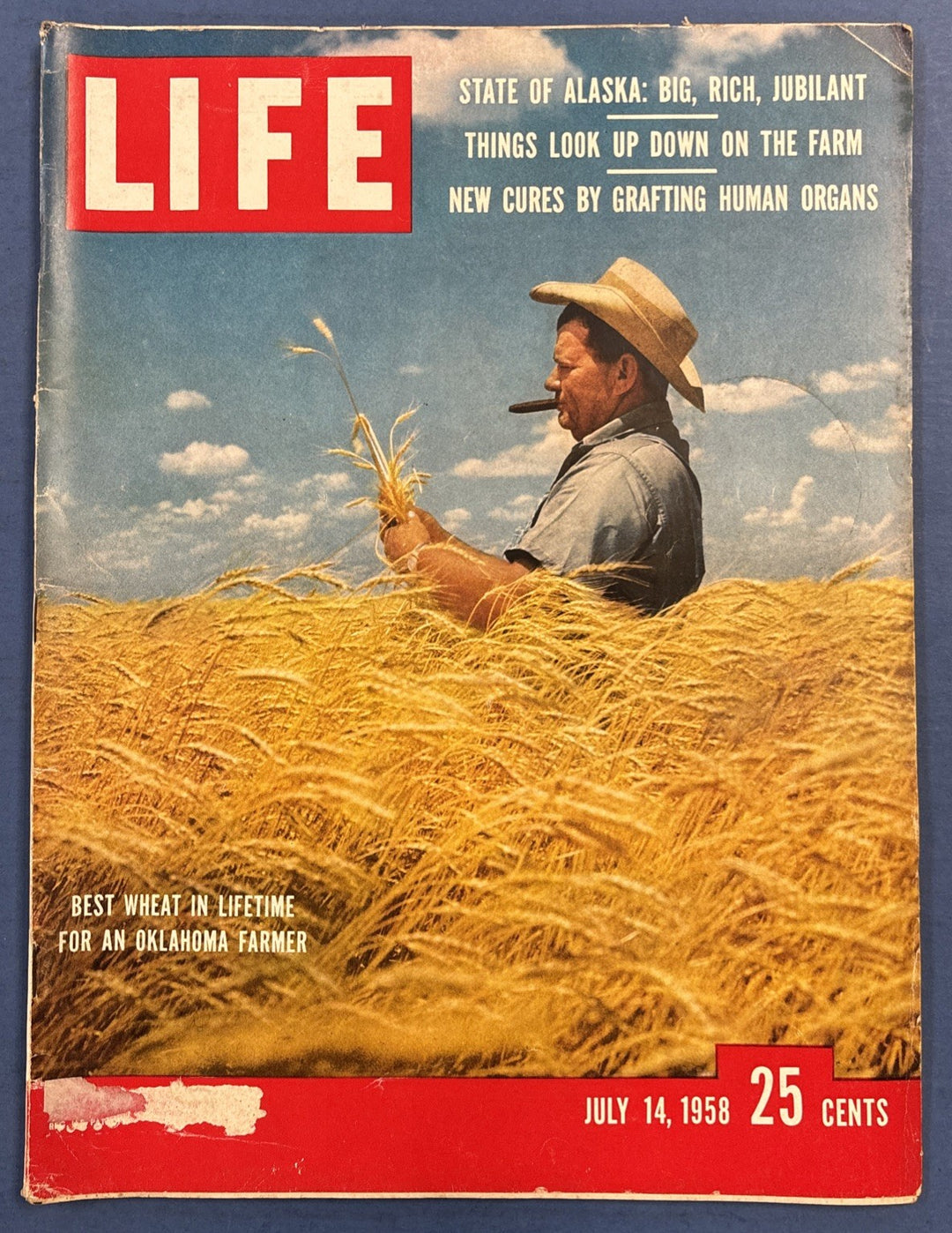 Life Magazine Vintage Best Wheat In Lifetime For An Oklahoma Farmer July 14 1958