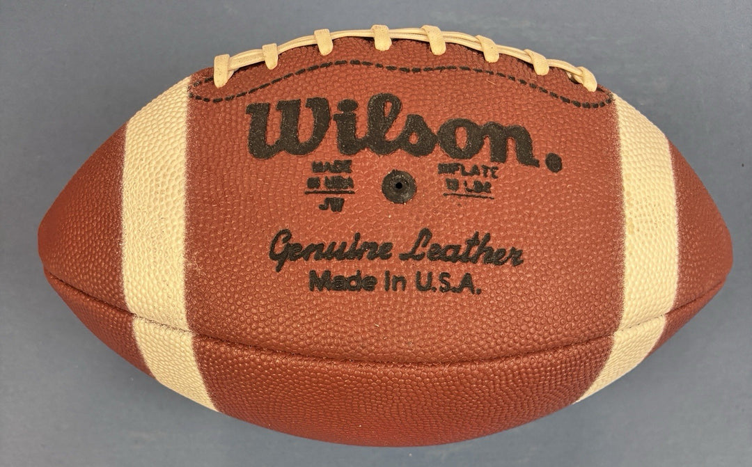 Stan Jones HOF Signed Wilson Football Chicago Bears Sportsworld COA
