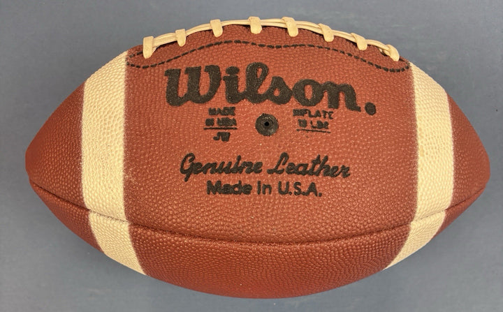 Stan Jones HOF Signed Wilson Football Chicago Bears Sportsworld COA