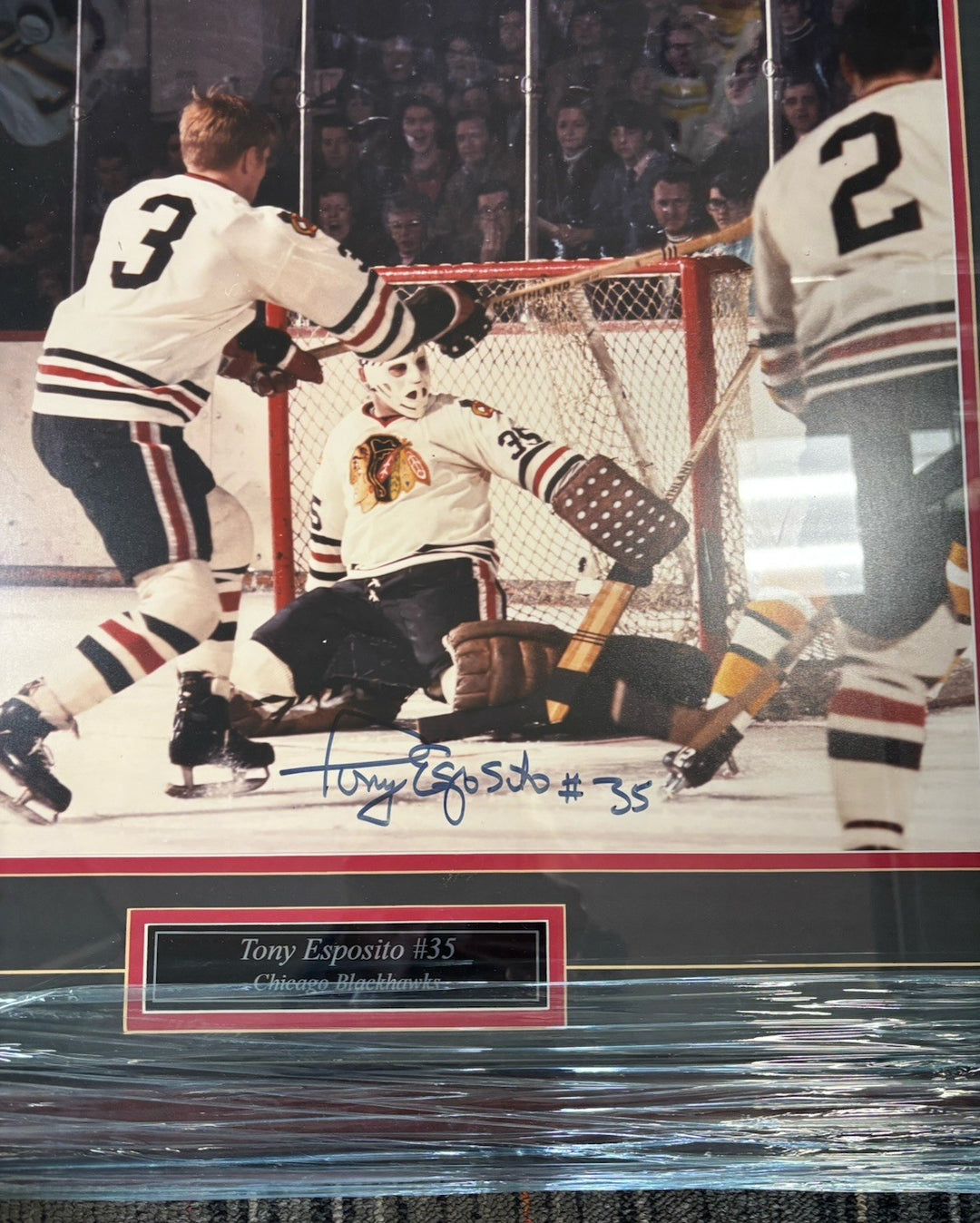 Tony Esposito Autographed 16x20 Photo Framed Chicago Blackhawks HOF