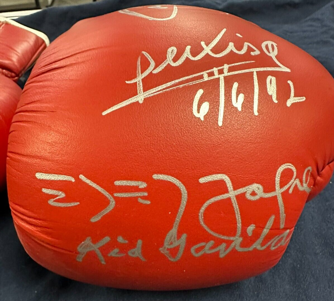 Norton Basillio Antuofermo Arquello Jofre Gavilan Griffith Signed Boxing Gloves