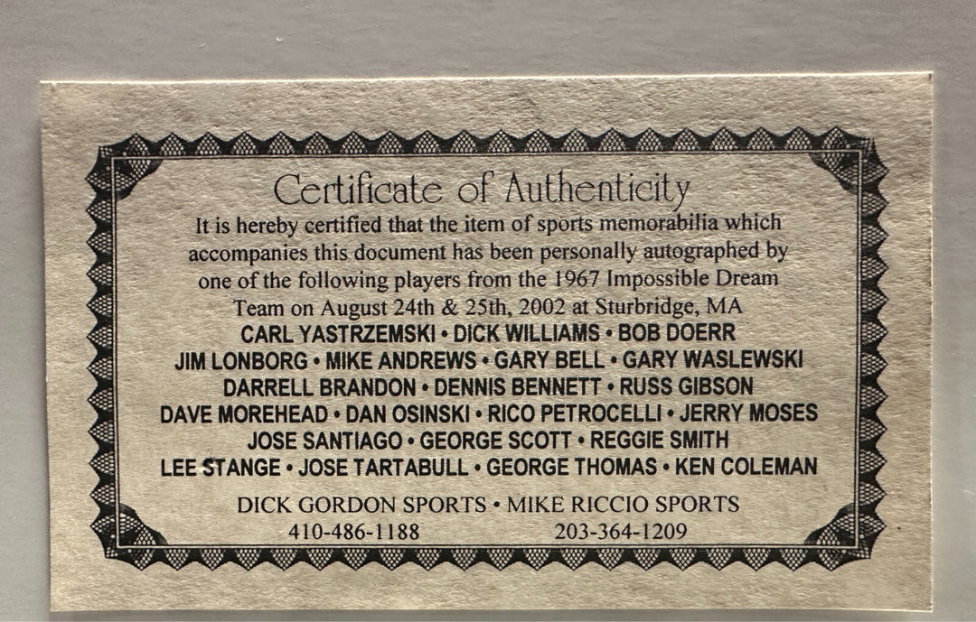 1967 Boston Red Sox AL Champions Signed 16x20 Photo Yaz Scott Lonborg Williams