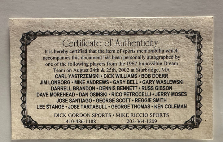 1967 Boston Red Sox AL Champions Signed 16x20 Photo Yaz Scott Lonborg Williams