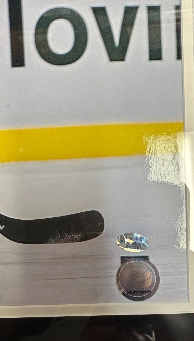 Zdeno Charra Autographed2010 Winter Classic 16x20 Photo Framed Bruins HOF