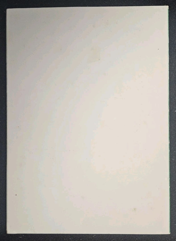 Boston Red Sox Team Christmas Card
