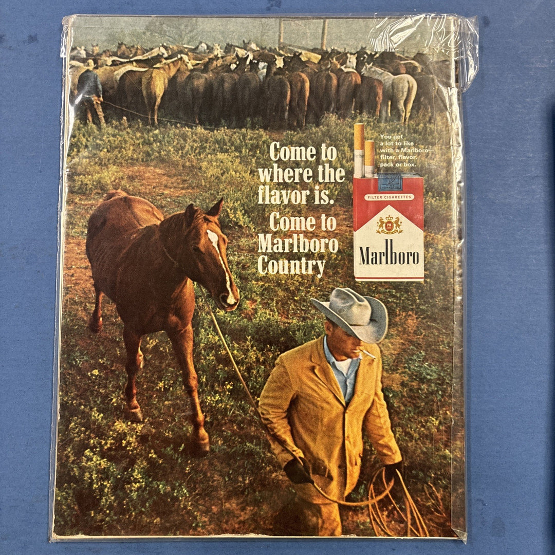 Life Magazine Vintage Historic Turning Point For The Negros Cause March 26 1965