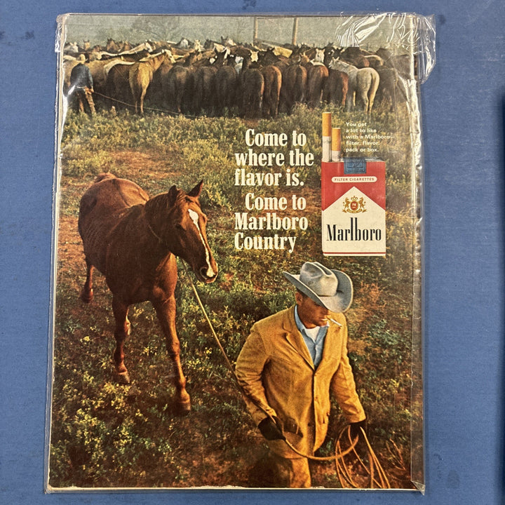 Life Magazine Vintage Historic Turning Point For The Negros Cause March 26 1965