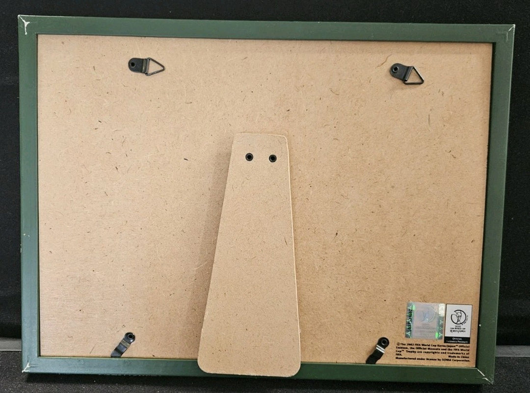 2002 FIFA World Cup Korea Japan 365 Countdown Pin Set