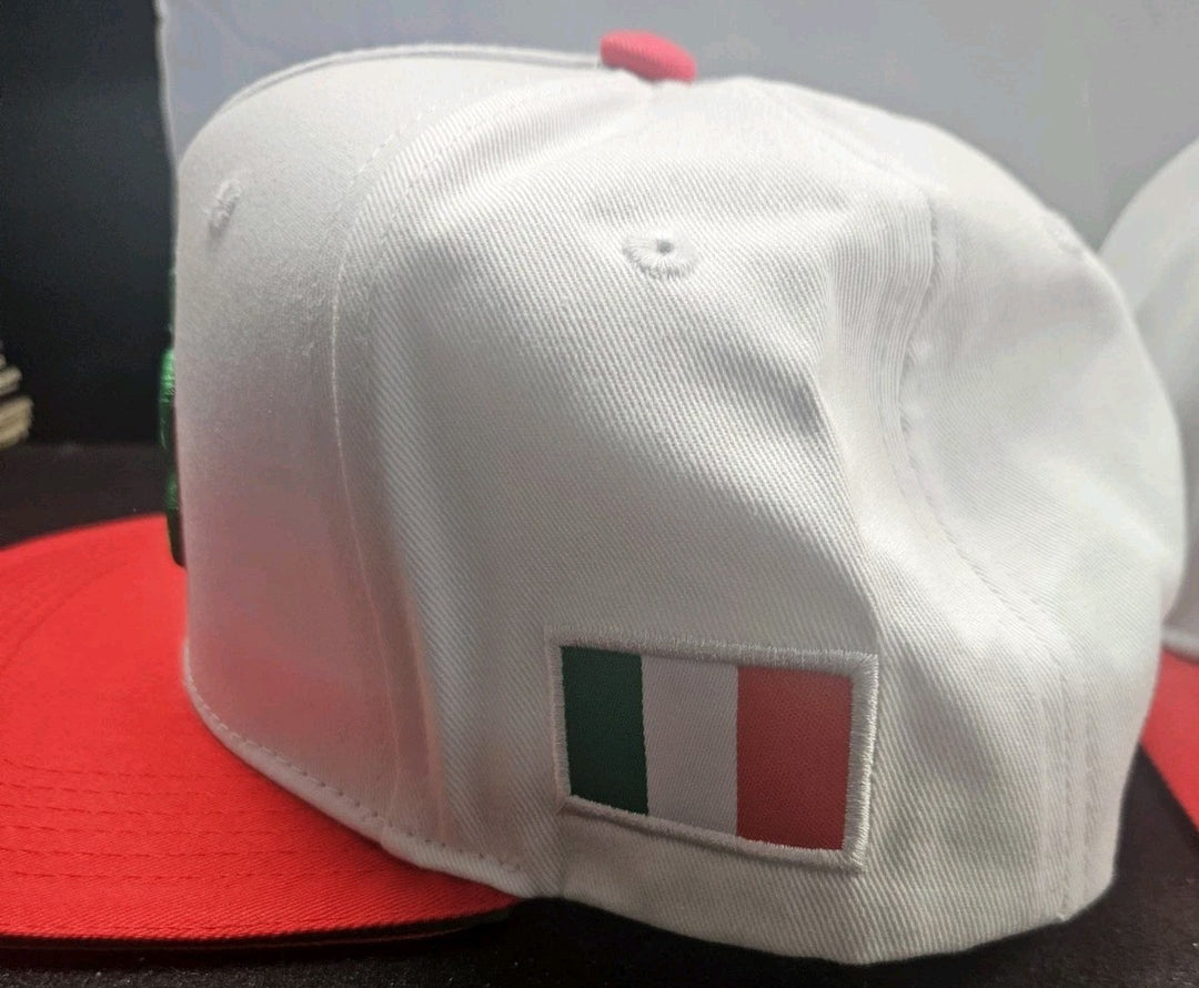 Lot Of 2 Custom Tampa Bay Italian Flag Snapback Hats